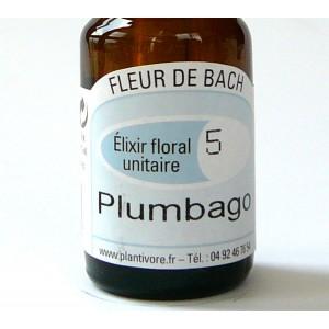 Unitaire n° 05 : Plumbago (Cerato), 10 ml, Hautes-Alpes, BIO