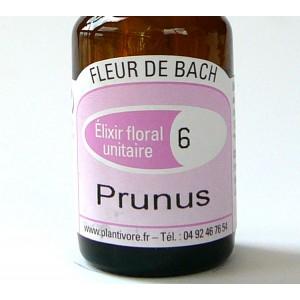 Unitaire n° 06 : Prunus (Cherry Plum), 10 ml, Hautes-Alpes, BIO