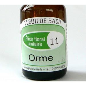 Unitaire n° 11 : Orme (Elm), 10 ml, Hautes-Alpes, BIO