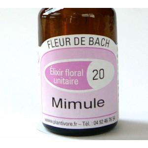 Unitaire n° 20 : Mimule (Mimulus), 10 ml, Hautes-Alpes, BIO
