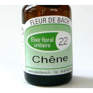 Unitaire n° 22 : Chêne (Oak), 10 ml, Hautes-Alpes, BIO