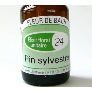Unitaire n° 24 : Pin sylvestre (Pine) , 10 ml, Hautes-Alpes, BIO