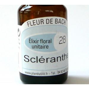 Unitaire n° 28 : Scléranthe (Scleranthus), 10 ml, Hautes-Alpes, BIO