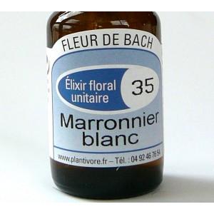 Unitaire n° 35 : Marronnier blanc (White chestnut), 10 ml, Hautes-Alpes, BIO