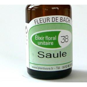 Unitaire n° 38 : Saule ( Willow), 10 ml, Hautes-Alpes, BIO