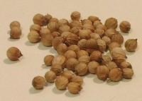 Coriandre semence (Huile essentielle), 5 ml